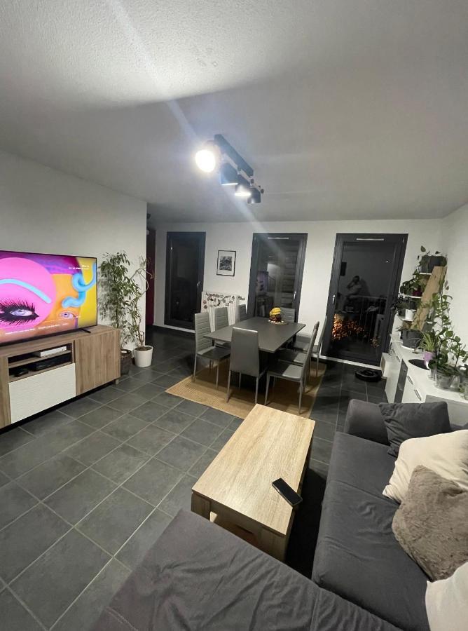Chambre Chez L'Habitant A Strasbourg Luaran gambar